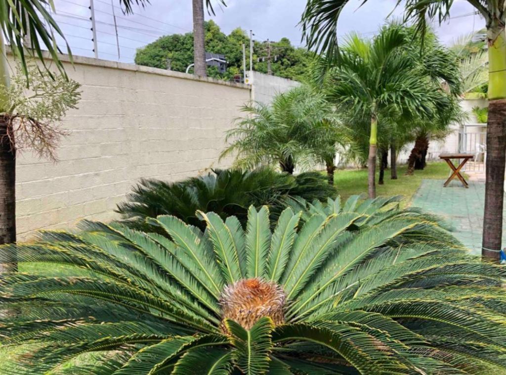 Apt2 Piscina Netflix Wifi Ar Cond Prox A 2 Shoppigns Fortaleza  Exteriör bild